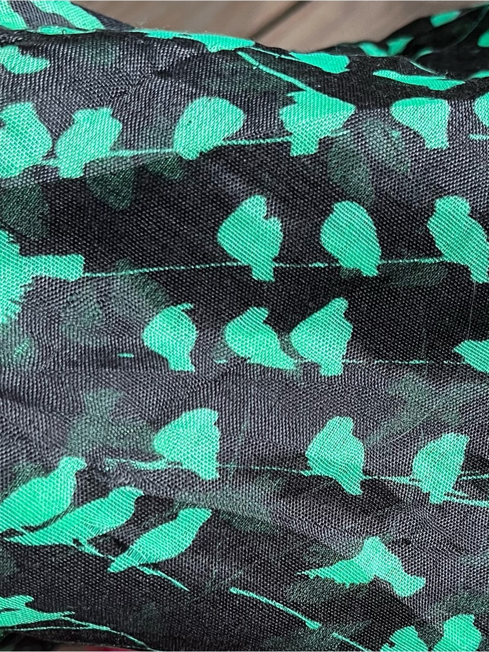 Women's Black Scarf with Teal Bird Print - Lightweight Wrap